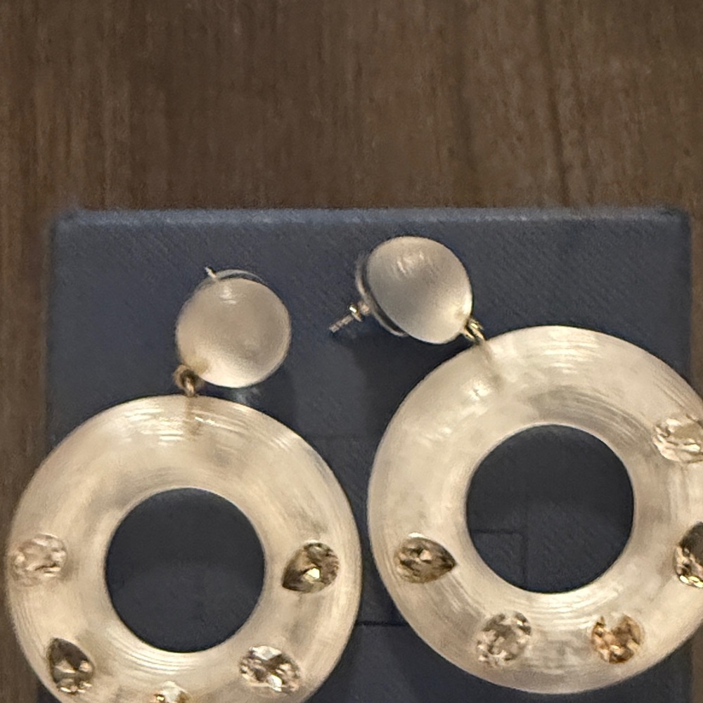 Elegant Silver Hoop Earrings by Alexis bittar